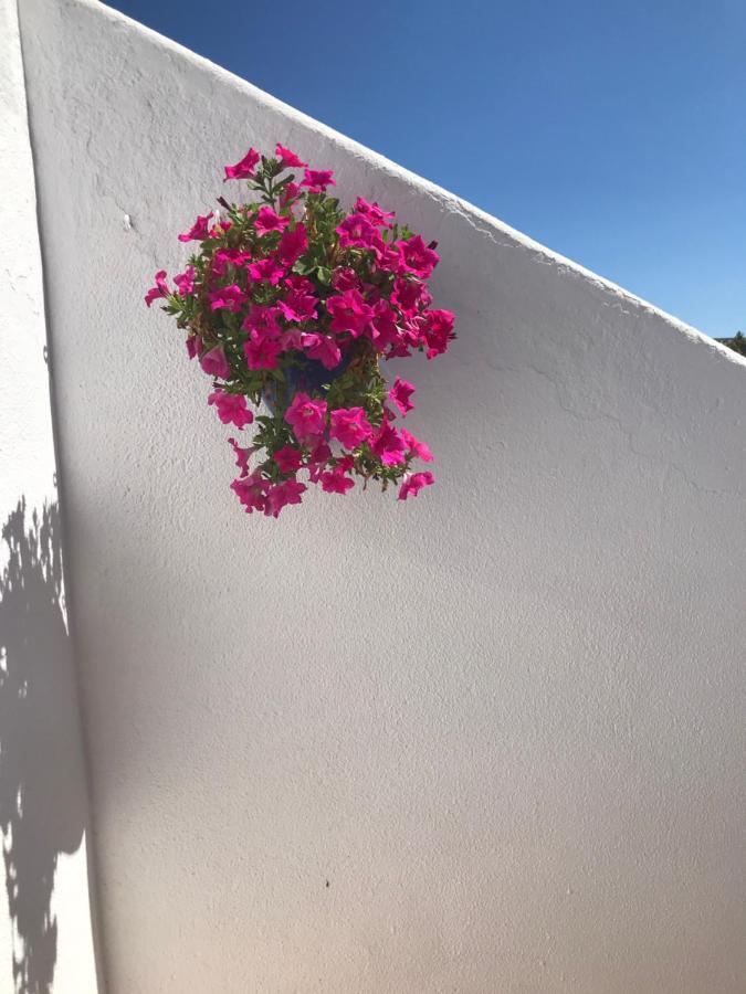 Bonita Casa Adosada Empuriabrava Dış mekan fotoğraf